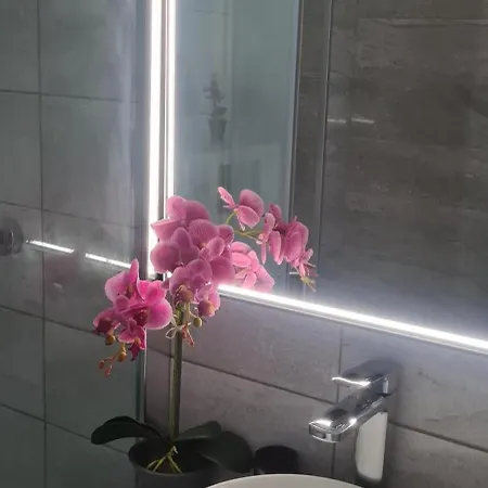 公寓 Studio Zara - Stefan Building Lake 马马亚